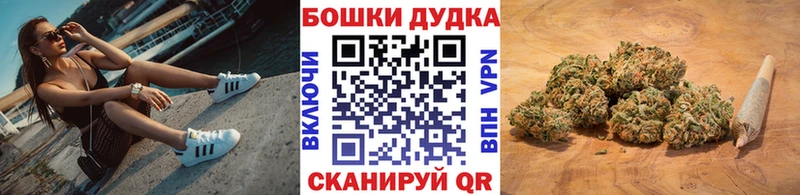 Каннабис SATIVA & INDICA Кизел